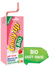 Brique goût fraise BIO