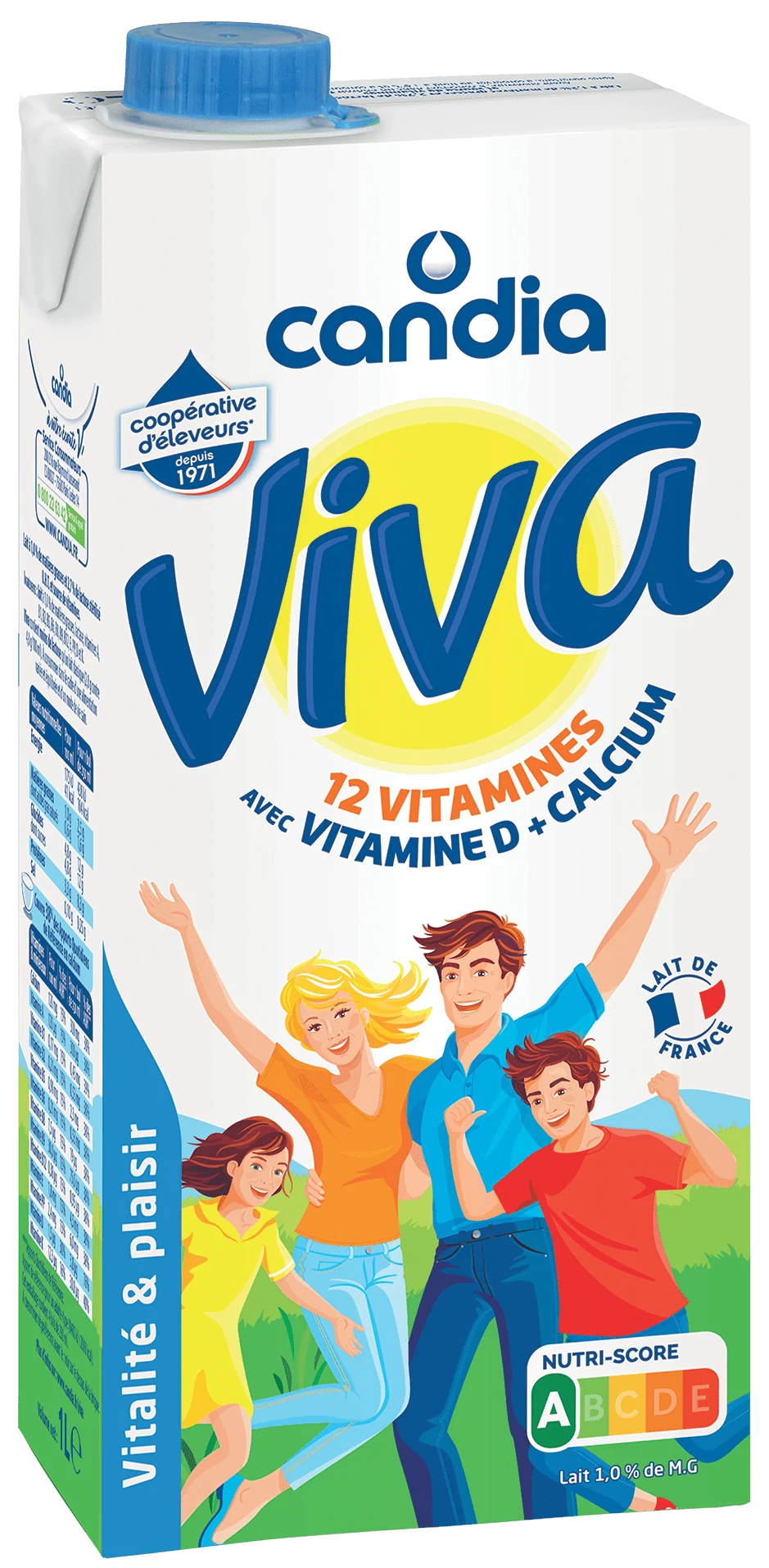 brique-viva-lait