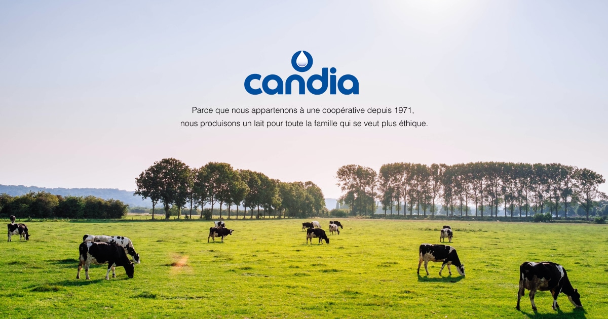 Candia - Depuis 50 ans, Candy, aujourd'hui devenu