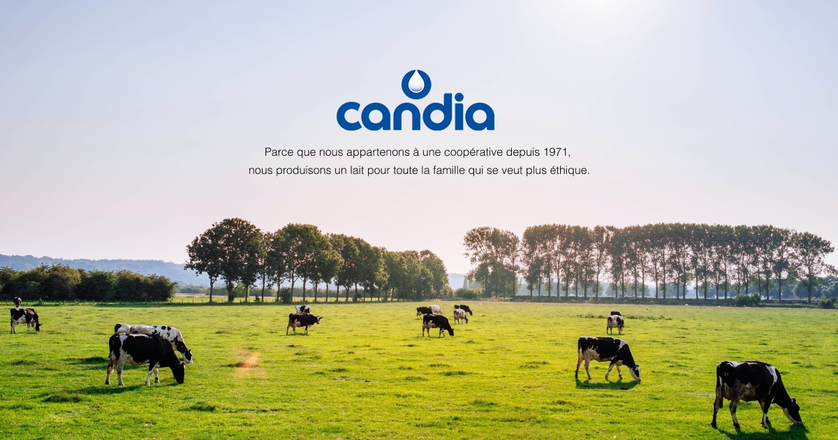 Les dosettes de poudre Candia Baby - Mam'Advisor